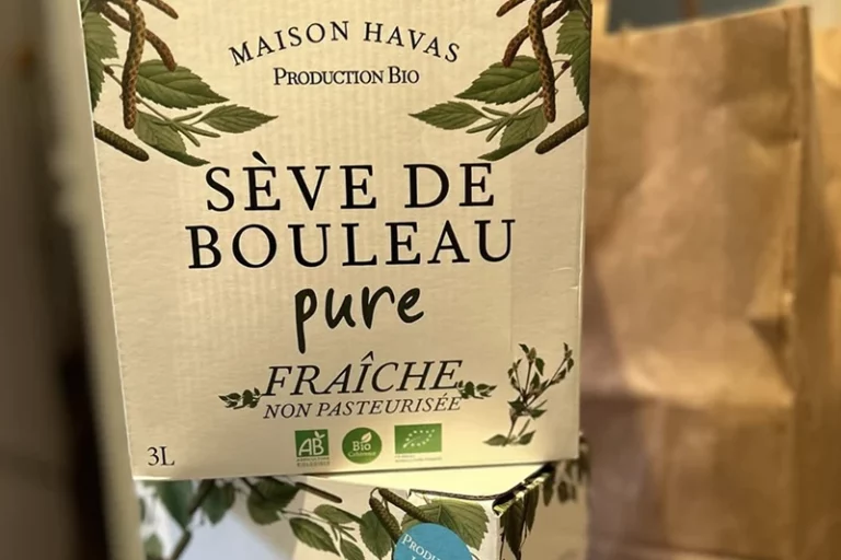 Détox sève de bouleau