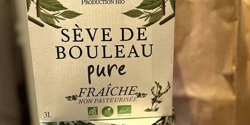 Détox sève de bouleau